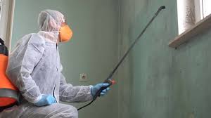 Mold Odor Removal Services